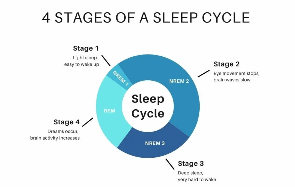 sleep cycle calculator